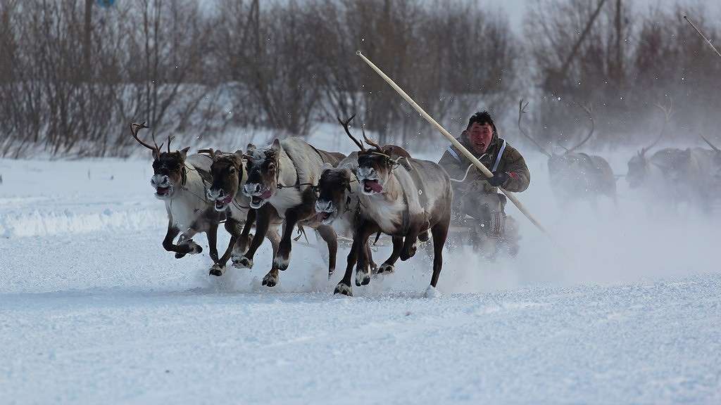 ... ����� Victoria Rubtsova �� PhotoGeek.ru #��������