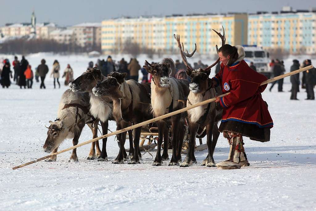 ... ����� Victoria Rubtsova �� PhotoGeek.ru #��������