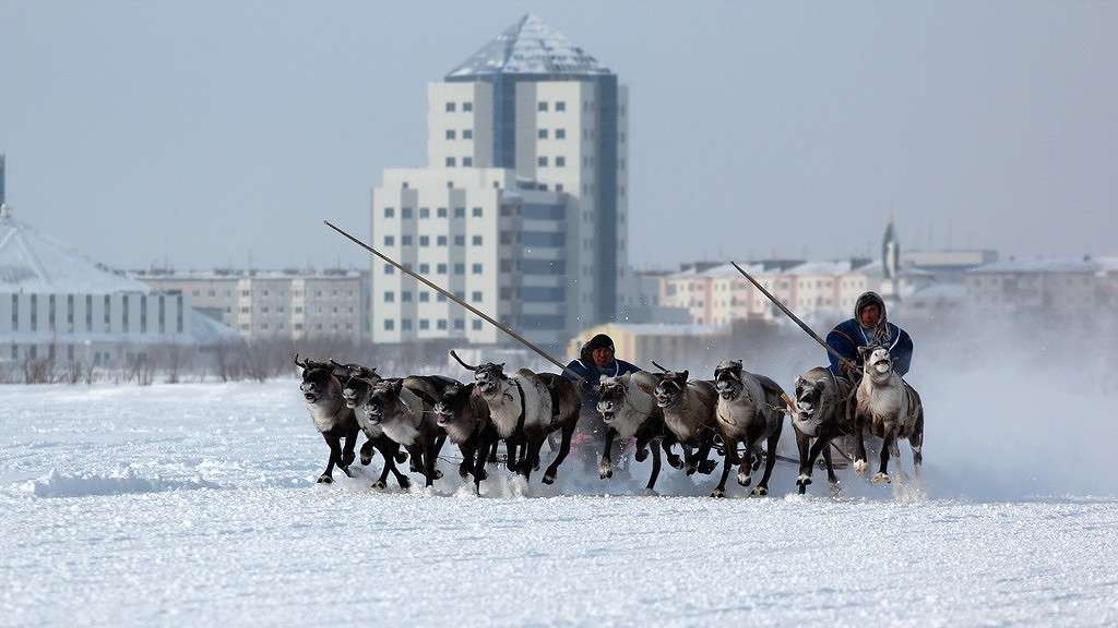 ��������� ����� Victoria Rubtsova �� PhotoGeek.ru #��������