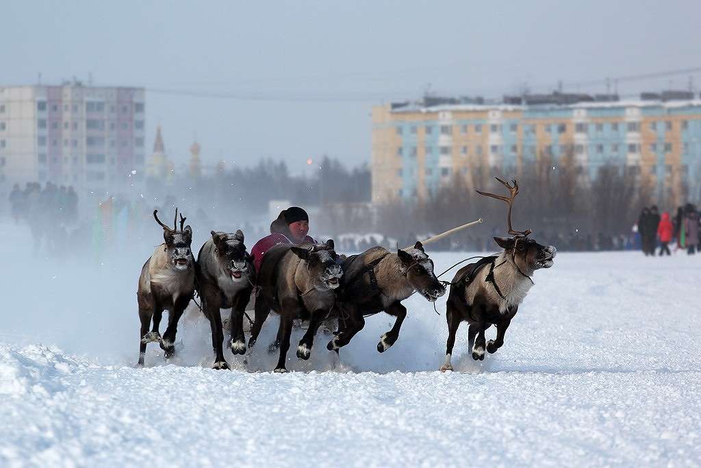 ... ����� Victoria Rubtsova �� PhotoGeek.ru #��������