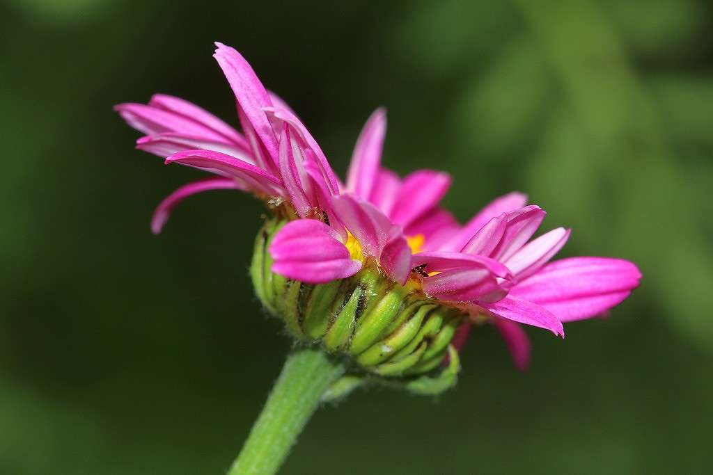 ... ����� Victoria Rubtsova �� PhotoGeek.ru #����� #������ ��� ������� #����� ��������������