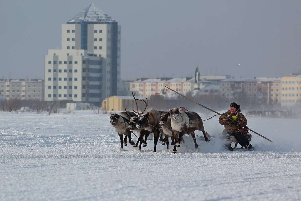 ... ����� Victoria Rubtsova �� PhotoGeek.ru #��������