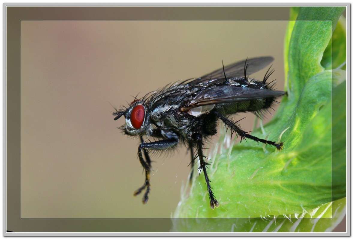 ... ����� Victoria Rubtsova �� PhotoGeek.ru #�����