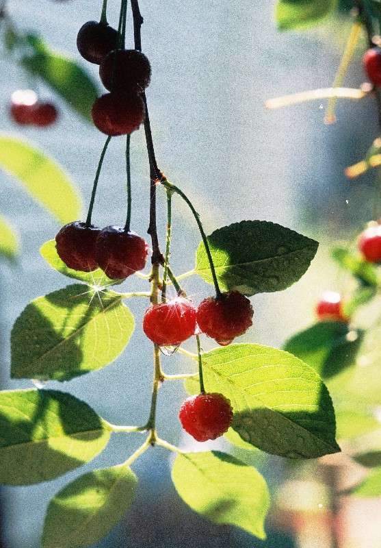 �����. ������ � ����� �������. ����� ������� ������� �� PhotoGeek.ru #������ ��� ������� #����� ��������������