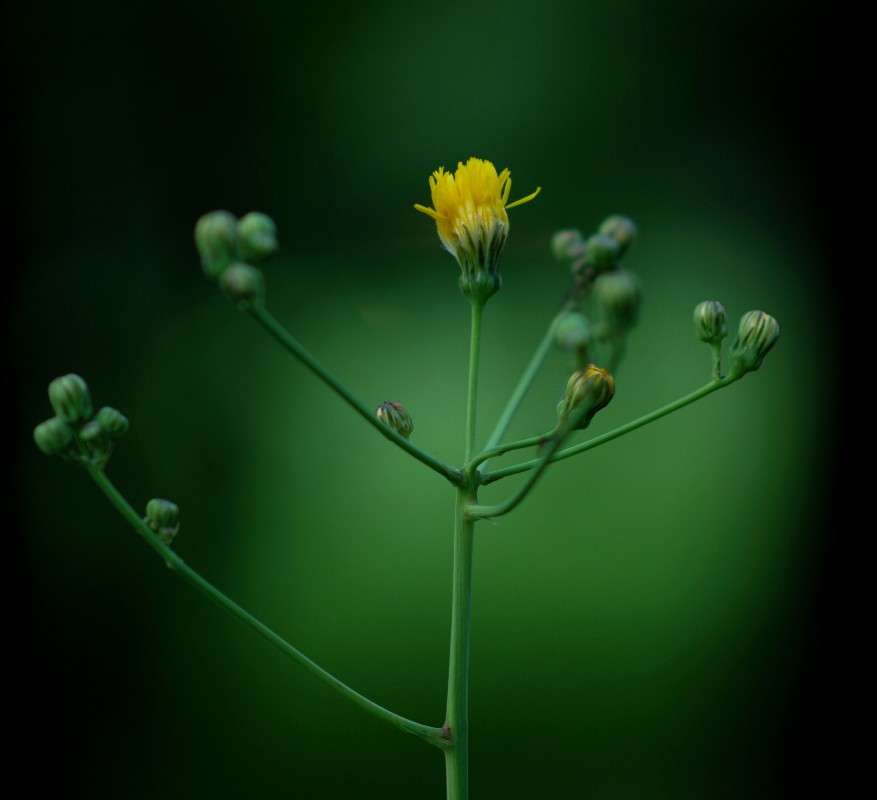 ������ ����������� ����� ������� ������� �� PhotoGeek.ru #������ ��� ������� #����� ��������������