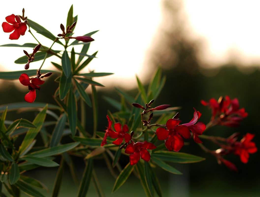 ���� �������� 3 ����� ������� ������� �� PhotoGeek.ru #������ ��� ������� #����� ��������������