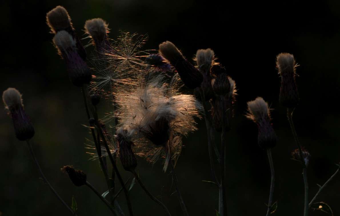 .... ����� ������� ������� �� PhotoGeek.ru #������ ��� ������� #����� ��������������