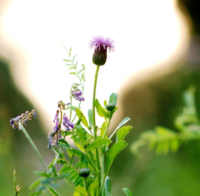 ������ ����� ������� ������� �� PhotoGeek.ru #������ ��� ������� #����� ��������������