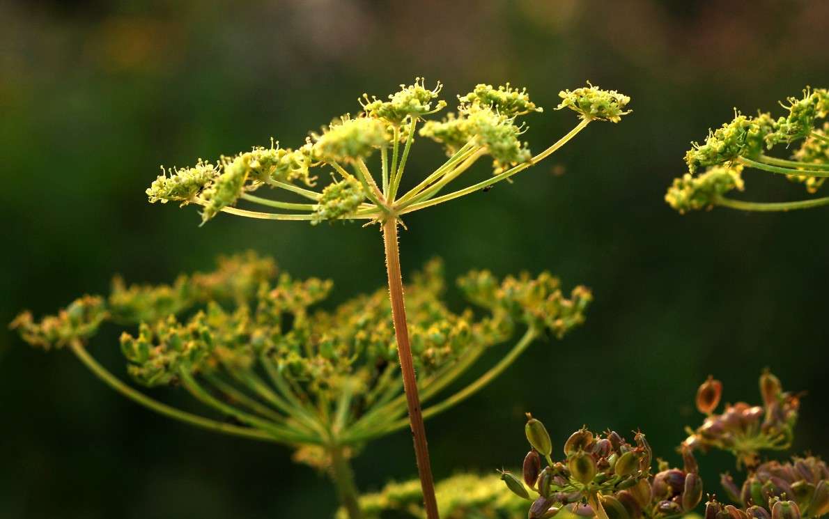 "�����" ����� ������� ������� �� PhotoGeek.ru #������ ��� ������� #����� ��������������