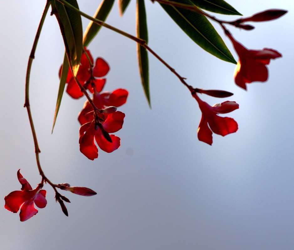 "���� �������" ����� ������� ������� �� PhotoGeek.ru #������ ��� ������� #����� ��������������