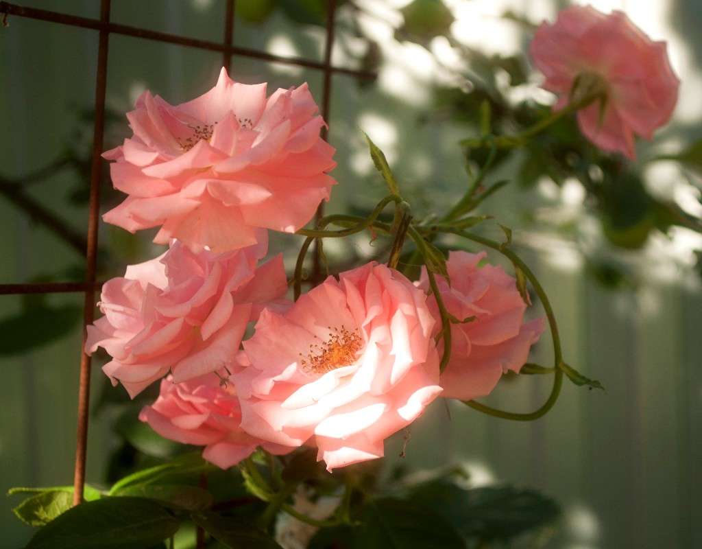 � ���� ������� ����! ����� ������� ������� �� PhotoGeek.ru #������ ��� ������� #����� ��������������