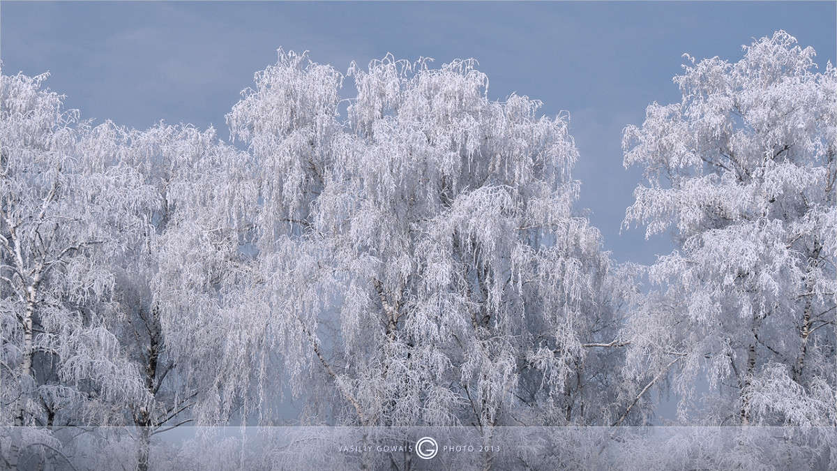 ����� ����� �������  �� PhotoGeek.ru #������ ��� �������