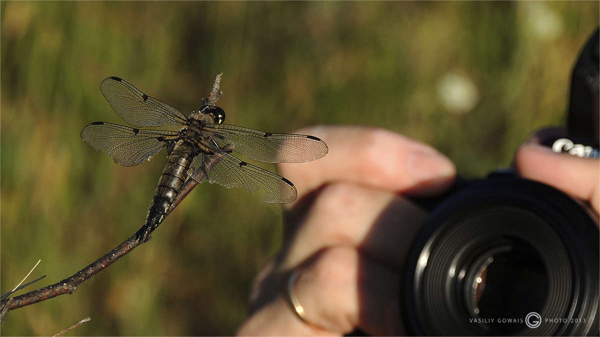 ������ ����� �������  �� PhotoGeek.ru #����� #�������� ���