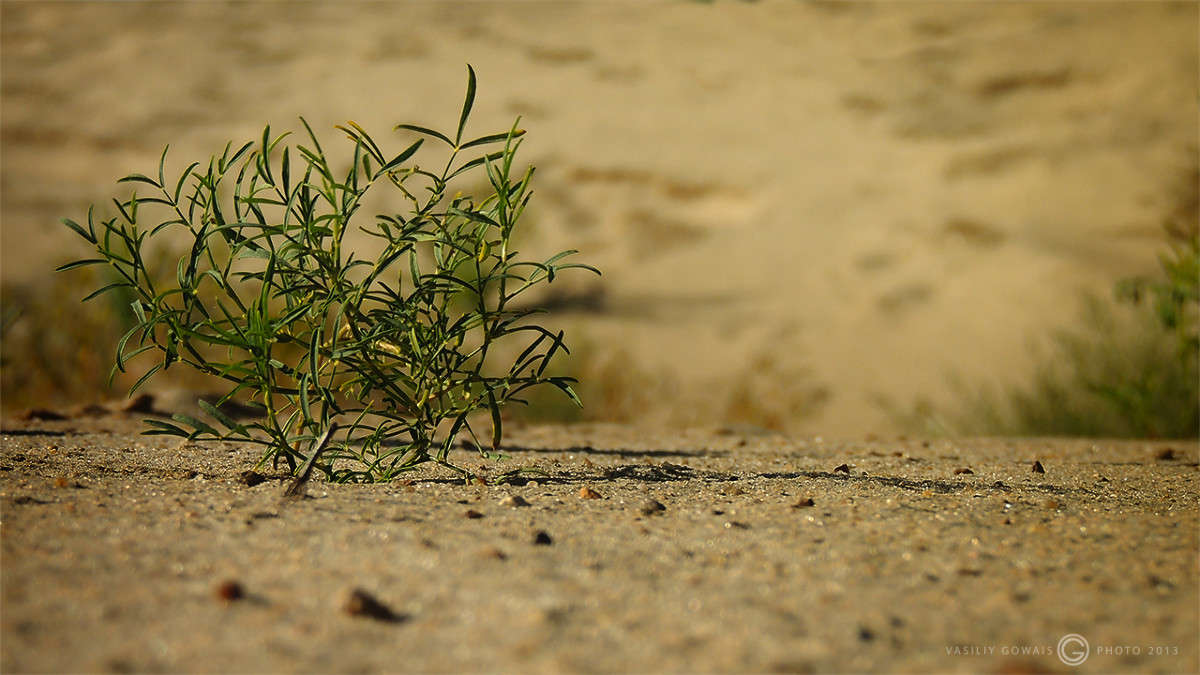 ������ ����� �������  �� PhotoGeek.ru #����� #������ ��� �������