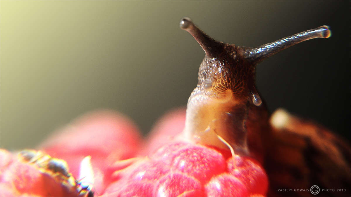 ���� ����� �������  �� PhotoGeek.ru #����� #�������� ���