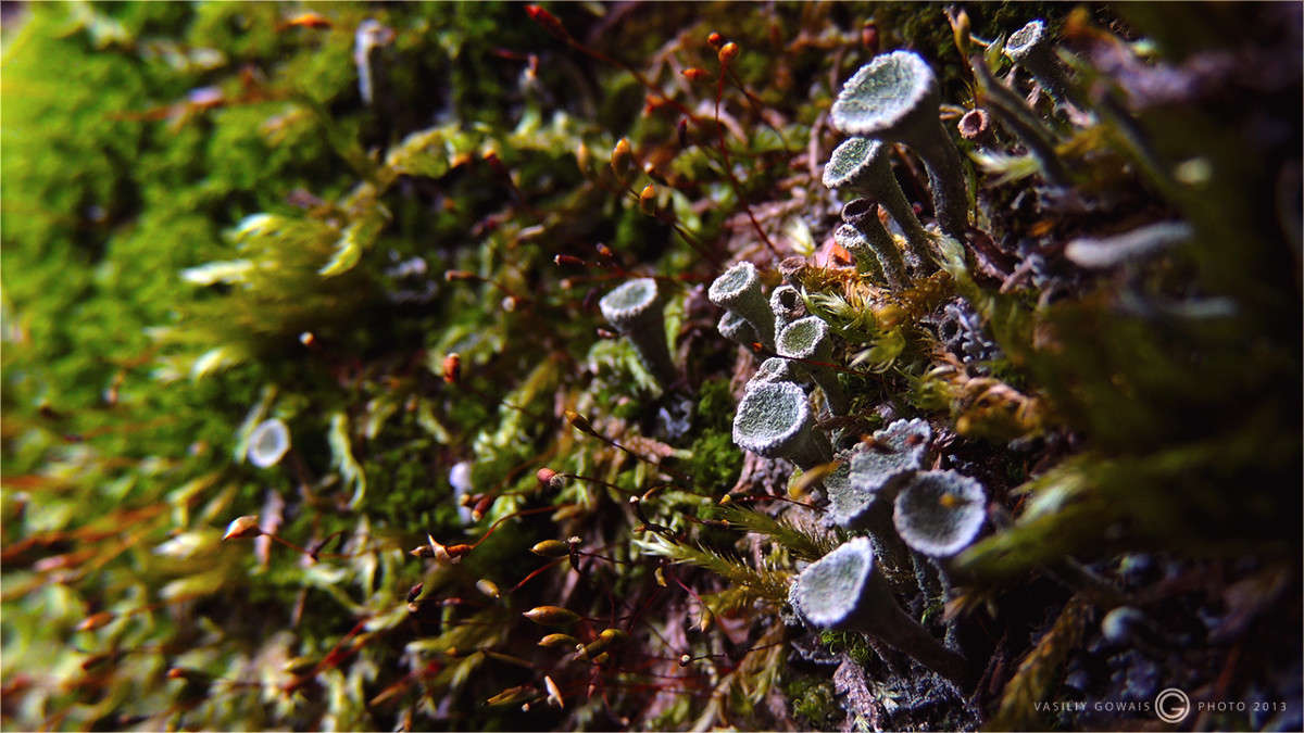 ������ ����� �������  �� PhotoGeek.ru #����� #������ ��� �������