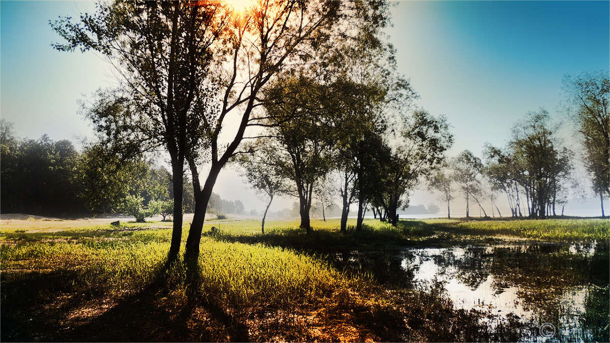 ������ ���� ����� �������  �� PhotoGeek.ru #������ ��� �������