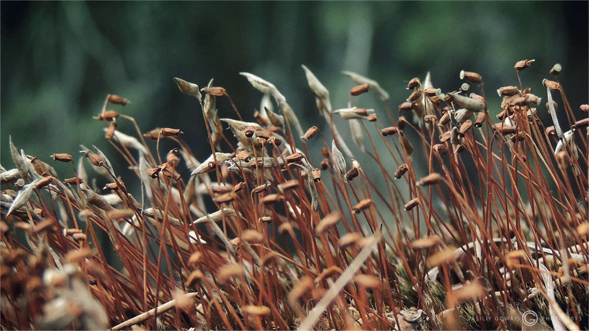 ������ ����� �������  �� PhotoGeek.ru #����� #������ ��� �������