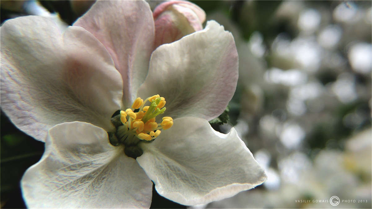 ������ ����� �������  �� PhotoGeek.ru #�������� ���