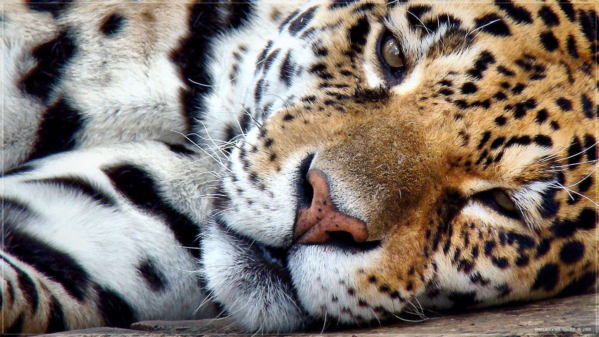 ����� ����� �������  �� PhotoGeek.ru #�������� ��� #�������