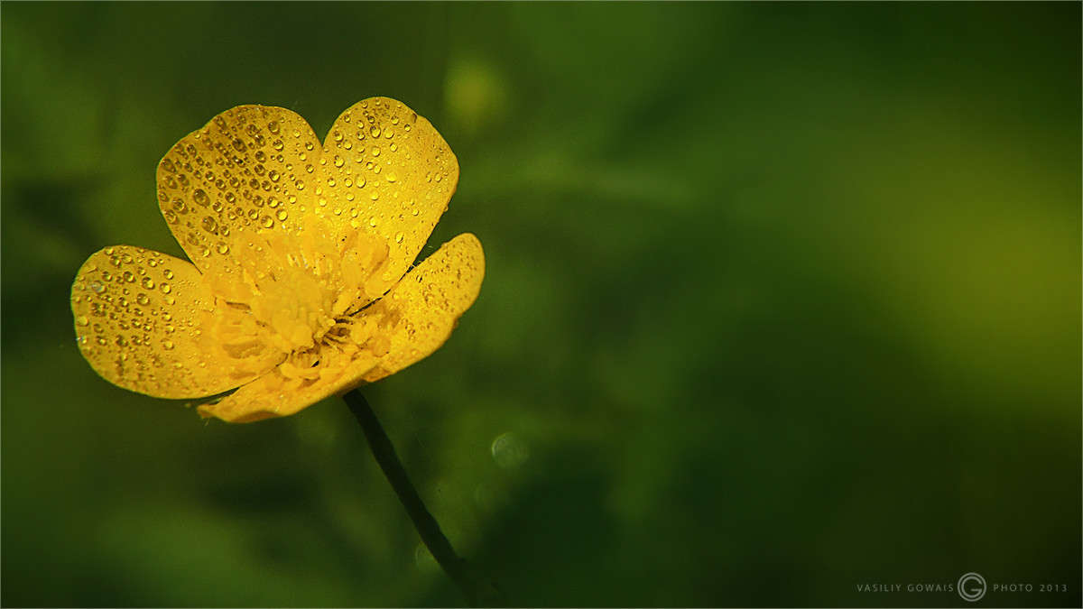 ����� ����� �������  �� PhotoGeek.ru #����� #������ ��� �������