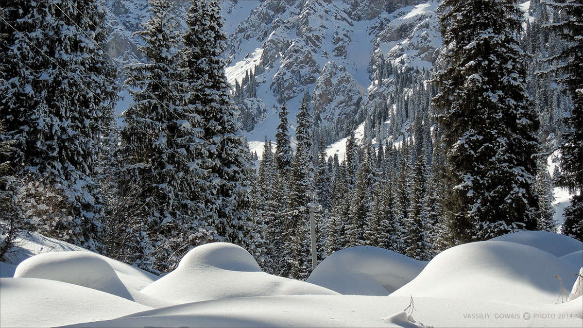 ���� � ���� ����� �������  �� PhotoGeek.ru #������ ��� �������