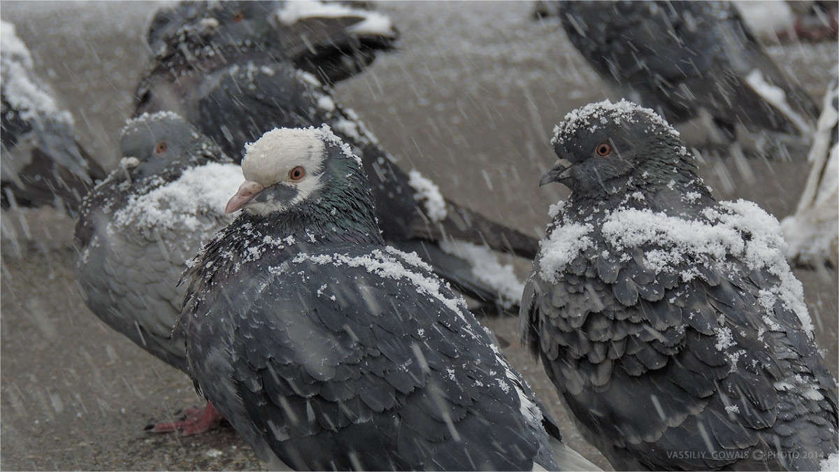 ������ ����� �������  �� PhotoGeek.ru #�������� ���