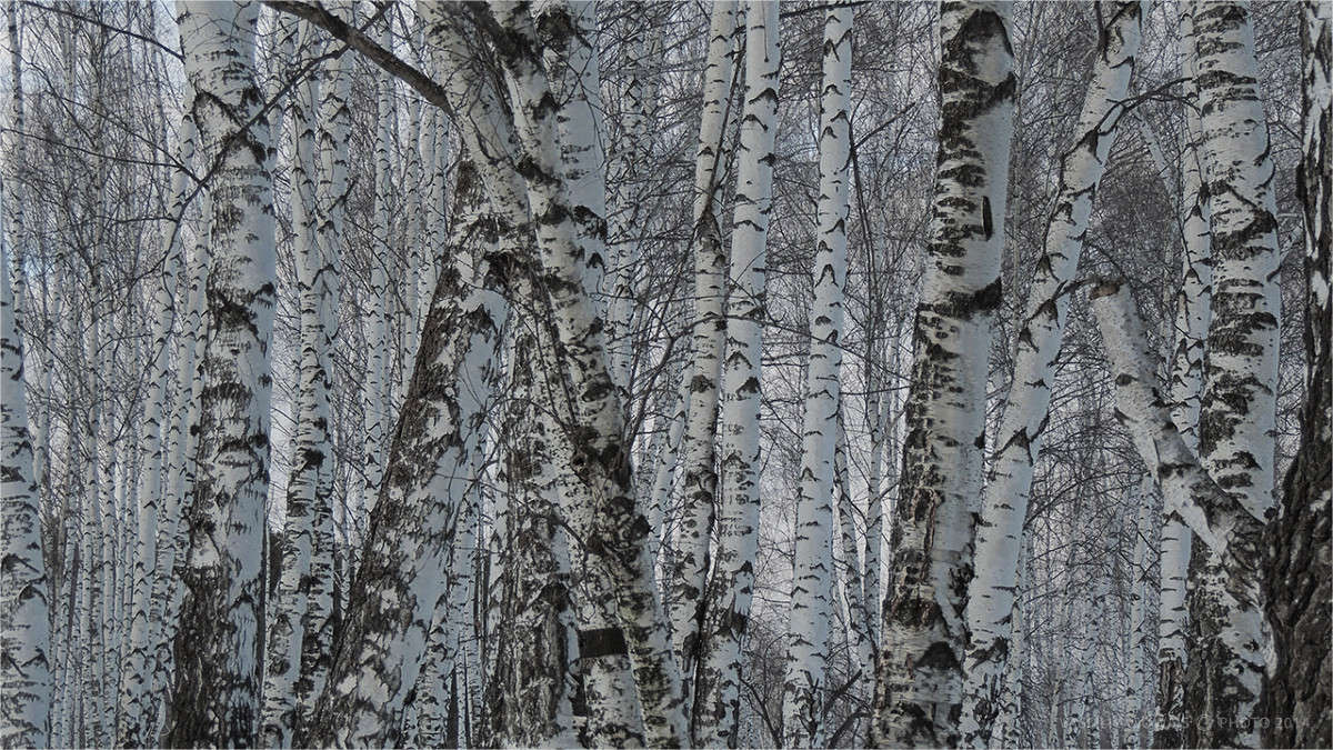 ����� ����� �������  �� PhotoGeek.ru #������ ��� �������