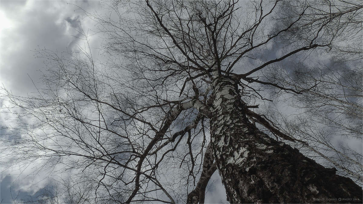 ������ ����� �������  �� PhotoGeek.ru #������ ��� �������