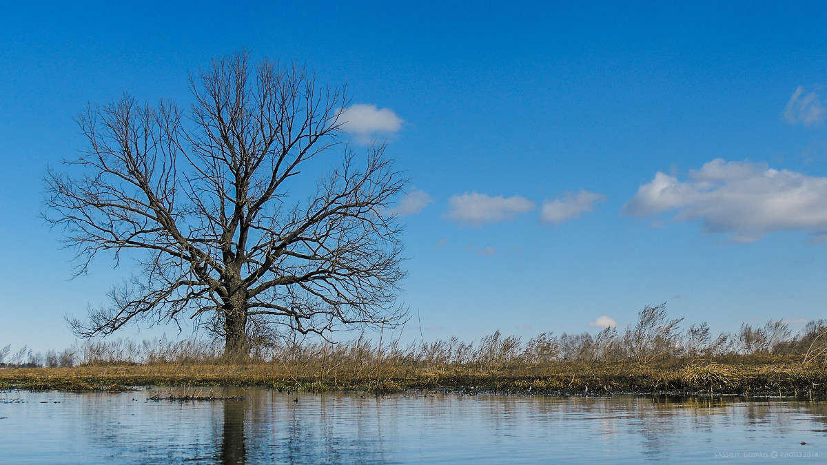 ��� ����� �������  �� PhotoGeek.ru #������ ��� �������