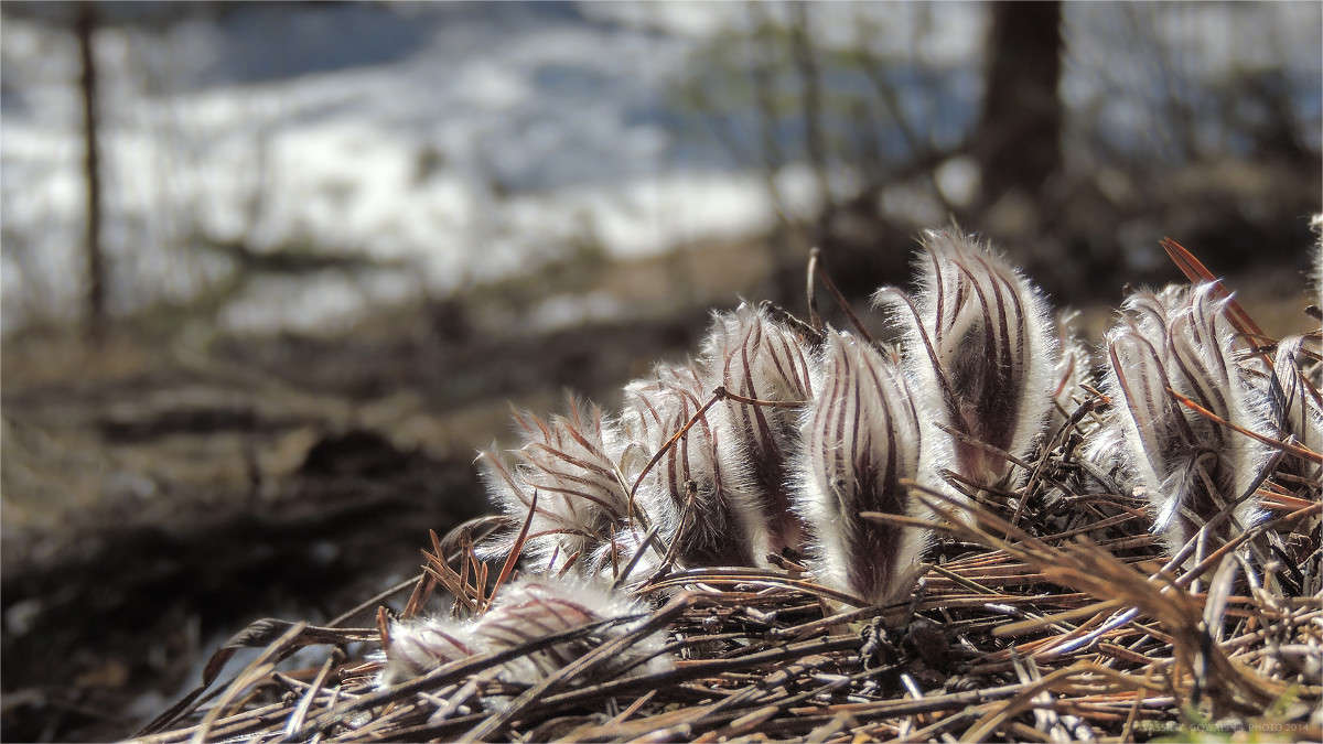 �������� ����� �������  �� PhotoGeek.ru #����� #������ ��� �������