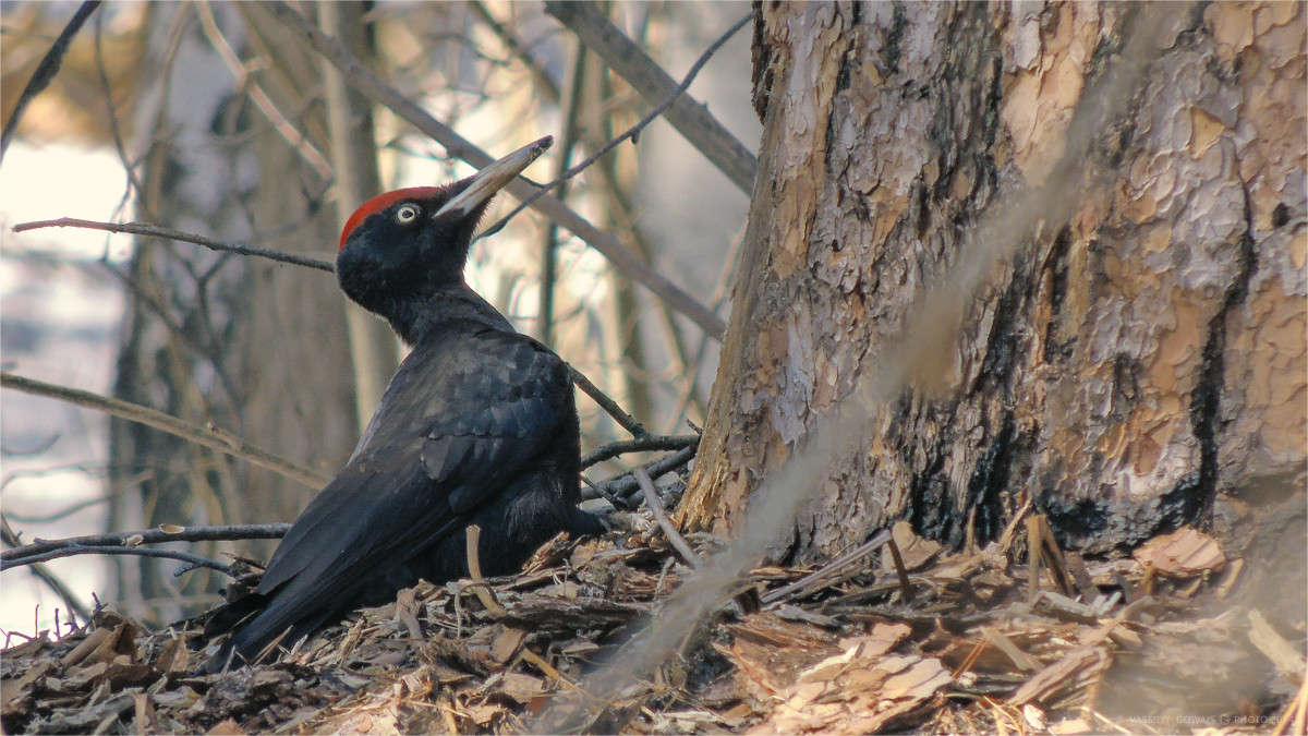 ����� ����� �������  �� PhotoGeek.ru #�������� ��� #������ ��� �������