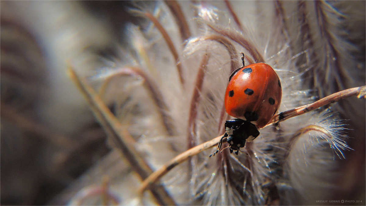 ���������� ����� �������  �� PhotoGeek.ru #����� #�������� ���