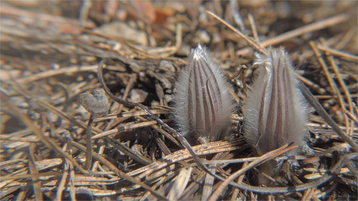 ��������� ����� �������  �� PhotoGeek.ru #����� #�������� ��� #������ ��� �������