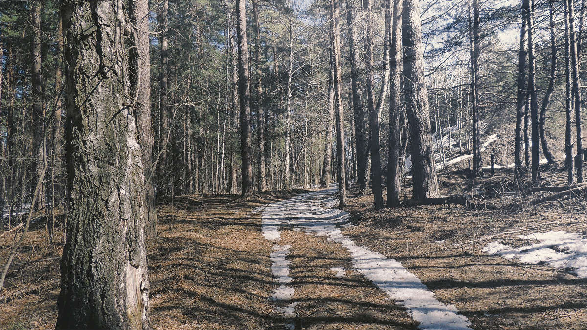 ... ����� �������  �� PhotoGeek.ru #������ ��� �������