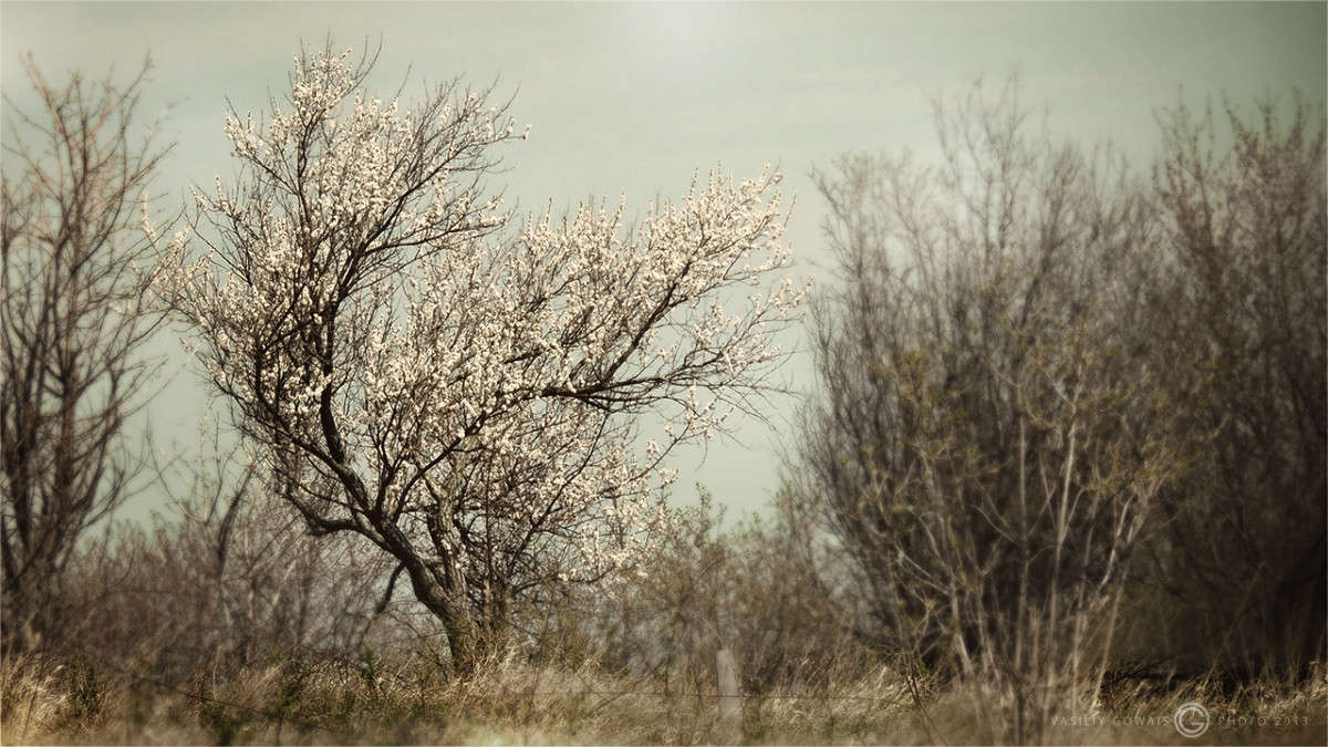 ���� ����� �������  �� PhotoGeek.ru #������ ��� �������