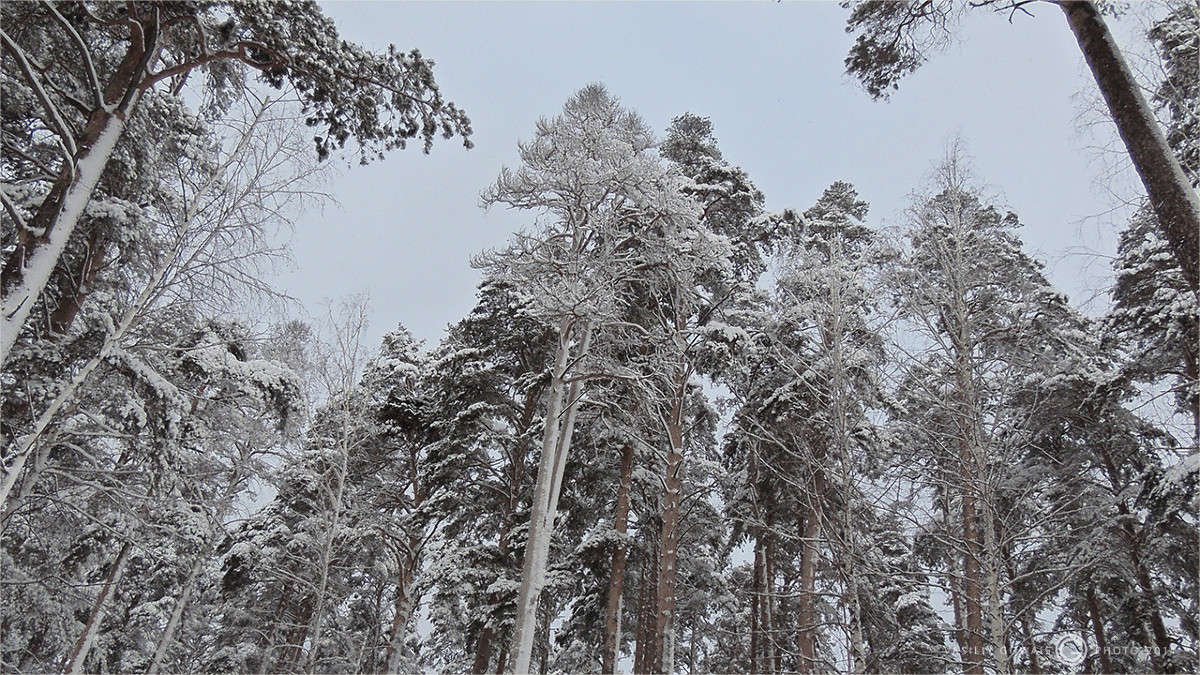 ����� ����� �������  �� PhotoGeek.ru #������ ��� �������