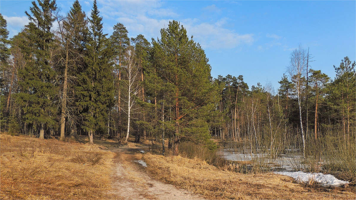 ������ ����� �������  �� PhotoGeek.ru #������ ��� �������