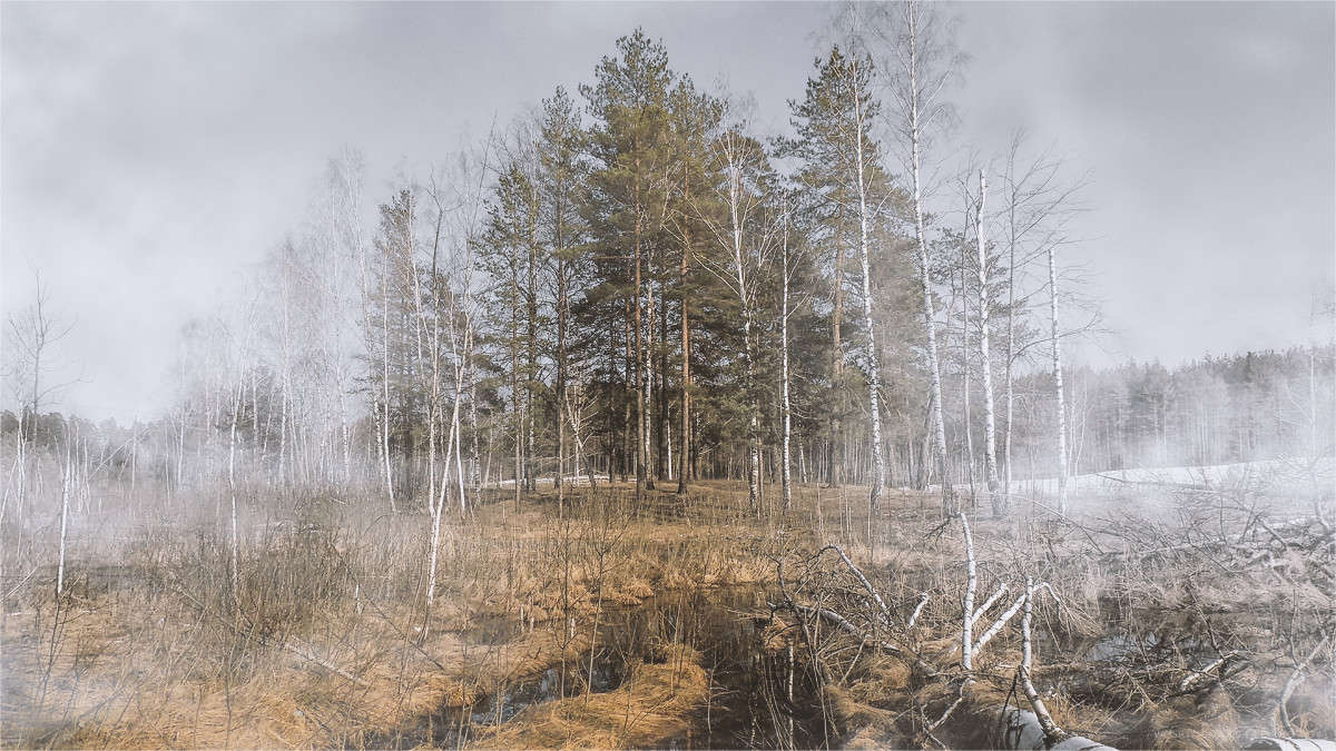 ��� �������� ����� �������  �� PhotoGeek.ru #������ ��� �������