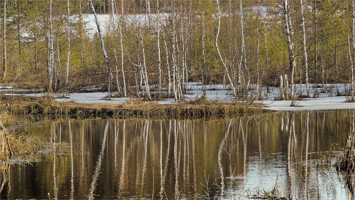 ������� ����� �������  �� PhotoGeek.ru #������ ��� �������