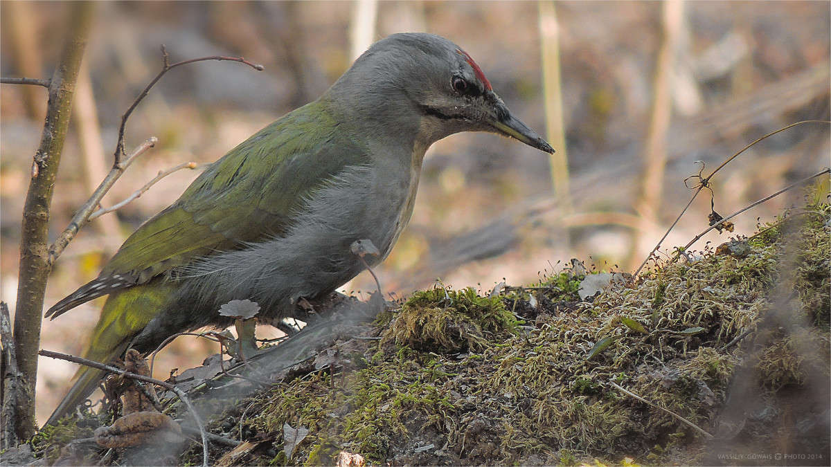 ������� ����� ����� �������  �� PhotoGeek.ru #�������� ���