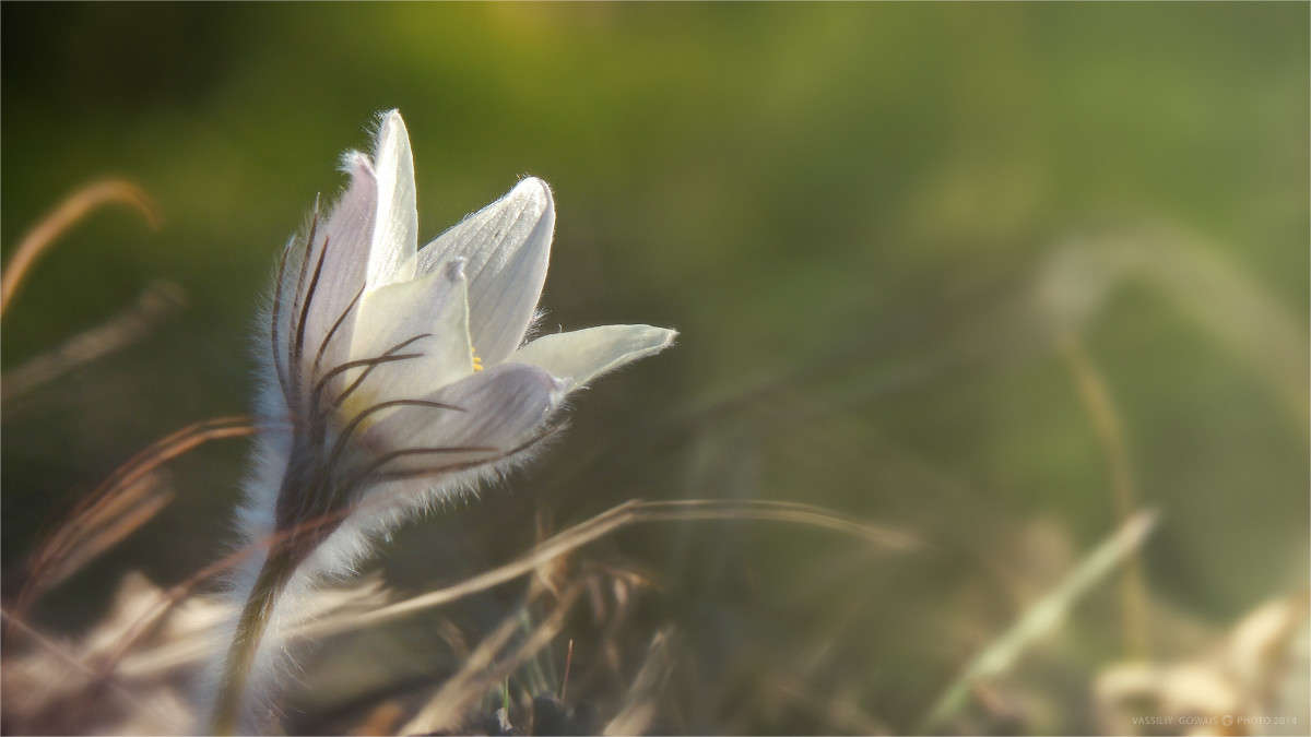 ��� ����� ����� �������  �� PhotoGeek.ru #�����