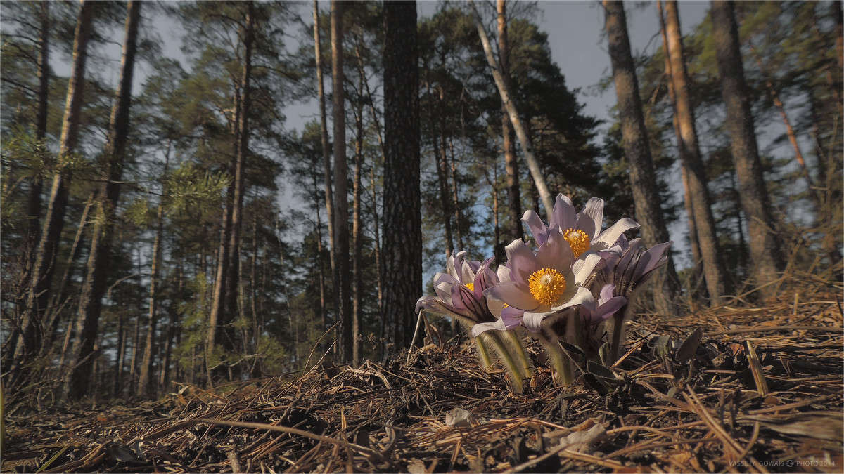 ��� ����� ����� �������  �� PhotoGeek.ru #������ ��� �������