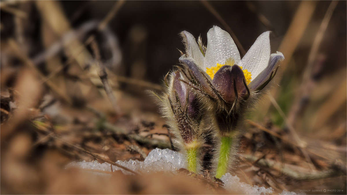 ��� ����� ����� �������  �� PhotoGeek.ru #�����