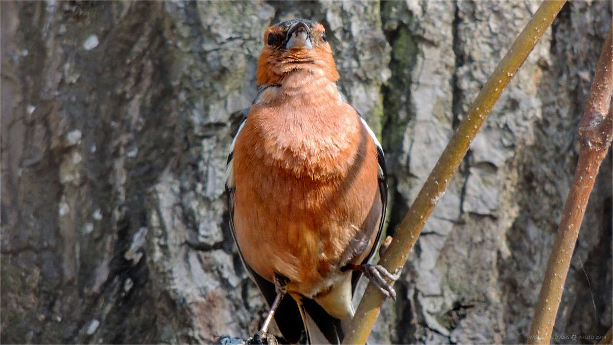 ������ ����� �������  �� PhotoGeek.ru #�������� ���