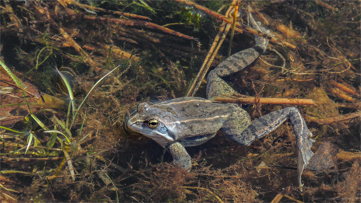 ������� ����� �������  �� PhotoGeek.ru #����� #�������� ���