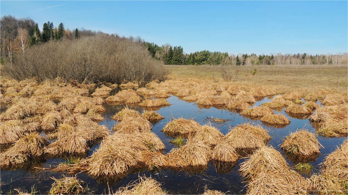 ����� ����� �������  �� PhotoGeek.ru #������ ��� �������