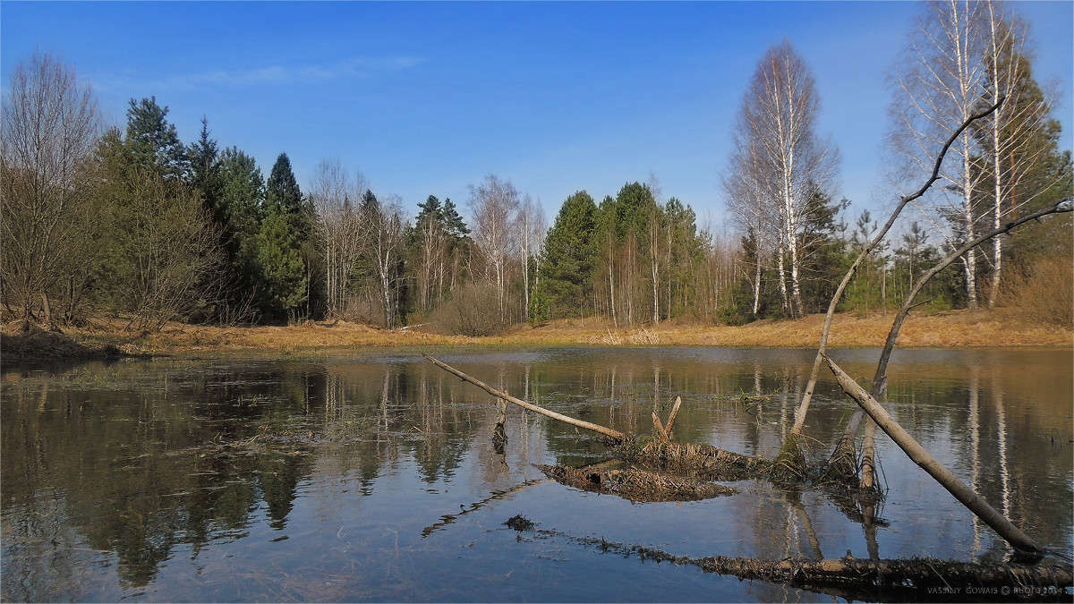 ����� ����� �������  �� PhotoGeek.ru #������ ��� �������