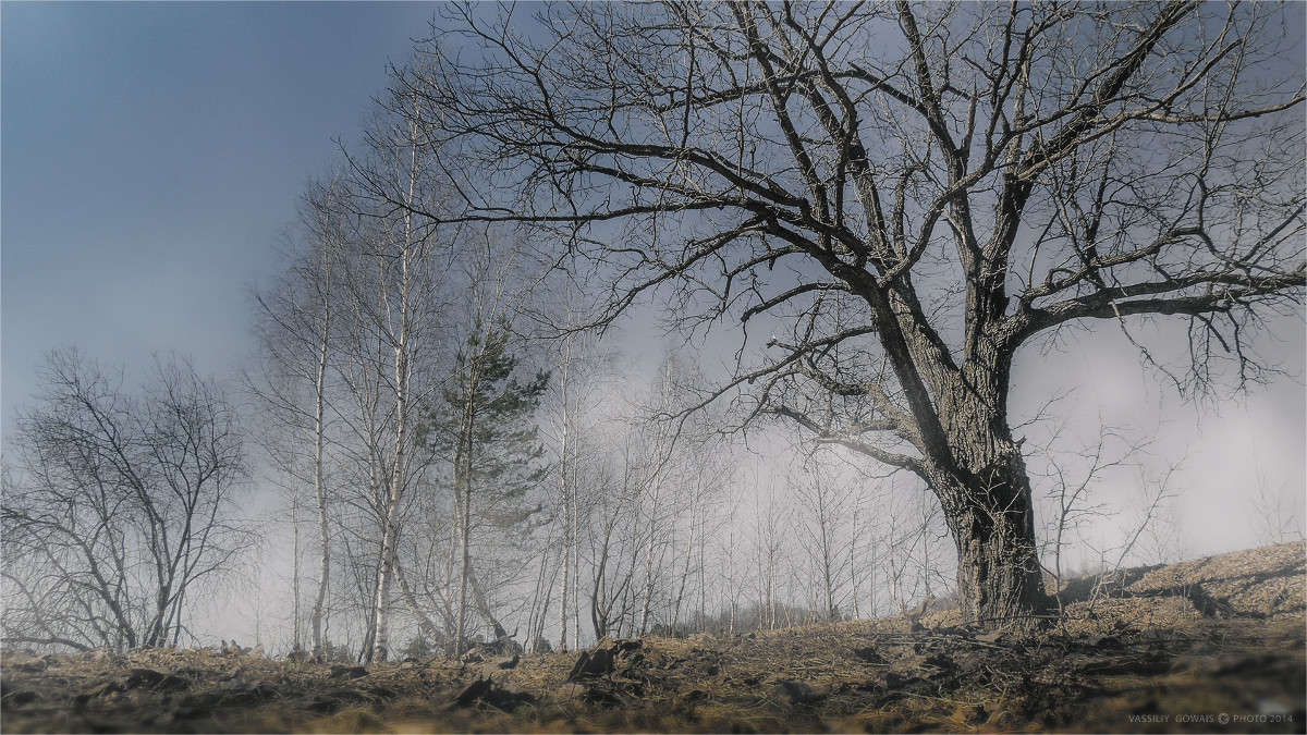 ������ ����� �������  �� PhotoGeek.ru #������ ��� �������