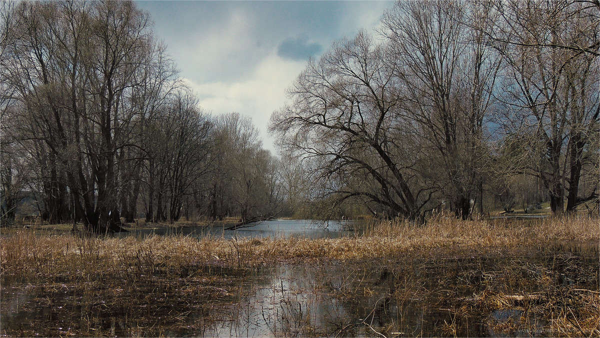 ����� ����� �������  �� PhotoGeek.ru #������ ��� �������